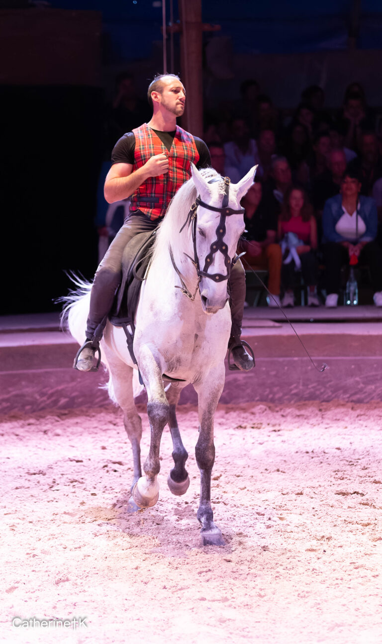 IMG_0078-CR2_DxO_DeepPRIME-2